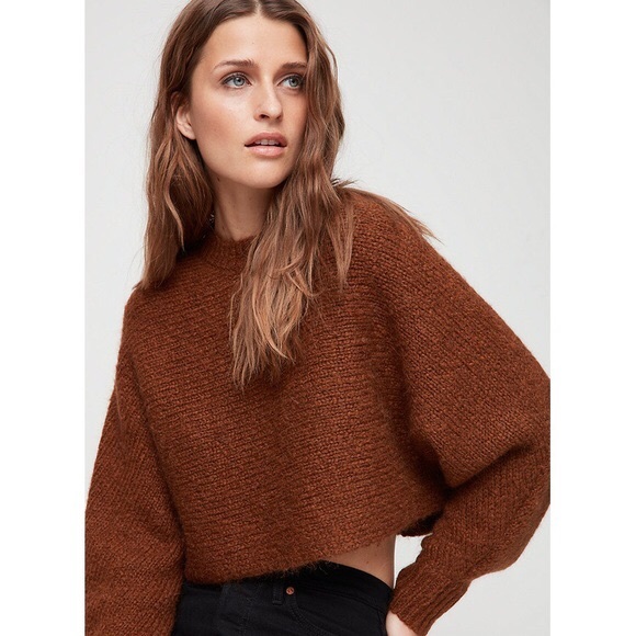 Aritzia Tops - ✨BRAND NEW Wilfred Lolan sweater ✨